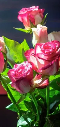 Bring a natural and stunning ambience to your phone with this live wallpaper featuring a vase filled with pink roses, glowing in bright sunshine