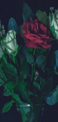 This live phone wallpaper showcases a stunning glass vase filled with a colorful assortment of roses on a dark green background