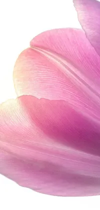 Add a pop of color to your phone with this stylish live wallpaper featuring a beautiful pink tulip