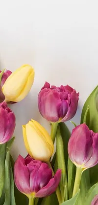 Enjoy the soothing sight of pink and yellow tulips swaying on your phone screen with this live wallpaper