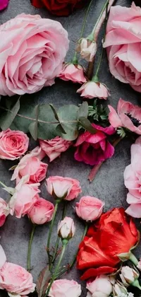 This stunning phone live wallpaper boasts a beautiful arrangement of pink and red roses on a table, captured in high-detail by a talented photographer