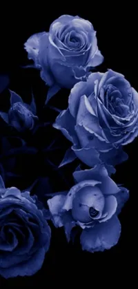 This stunning phone live wallpaper features a digital rendering of several blue roses on a black, gothic background