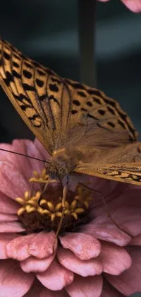 The phone live wallpaper showcases a breathtaking macro photograph featuring a stunning butterfly resting gracefully on a gorgeous pink flower
