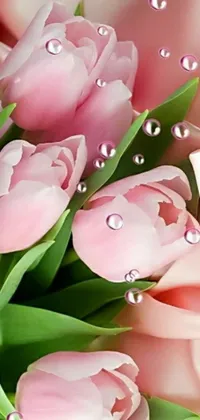 This pink tulip live phone wallpaper features a bunch of vibrant pink tulips resting on a pink cloth with a small picture in the corner
