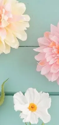 Enjoy a garden of pastel color dahlias on your phone's home screen with this live wallpaper