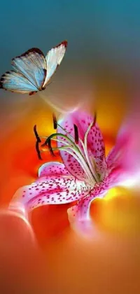 This stunning phone live wallpaper showcases a captivating close-up of a vibrant, multicolored flower with a butterfly resting on one of its lush petals