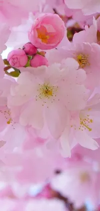 This phone live wallpaper showcases a mesmerizing close-up of pink flowers in full bloom