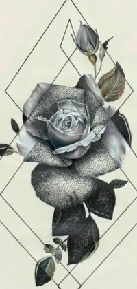 This live wallpaper features a beautiful drawing of a rose in a stippled style