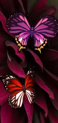 This lively wallpaper showcases a digital artwork depicting two butterflies resting on a purple flower