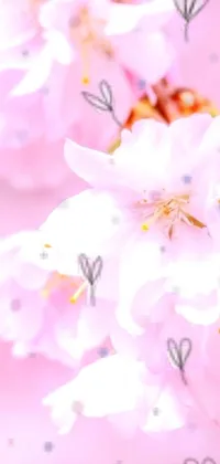 This live phone wallpaper captures the stunning beauty of delicate pink flowers up close
