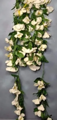 This live wallpaper features a white flower bunch hanging from a creeper wall, with delicate modeling and long stems that sway gently in the breeze