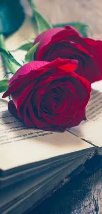 Looking for a gorgeous and unique phone wallpaper? Check out this elegant live wallpaper featuring a red rose atop an open book