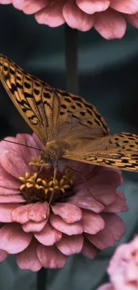 The live wallpaper for your phone features a beautiful butterfly resting on a pink flower in a serene garden setting