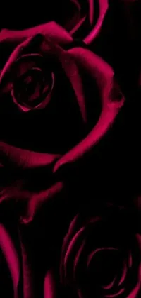 This hot pink and black phone live wallpaper displays a digital art close-up of a bunch of red roses