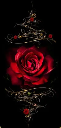 This live phone wallpaper features a stunning digitally rendered red rose on a black background, evoking a sense of romance and elegance