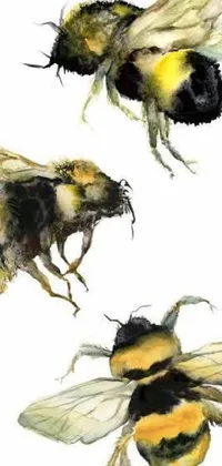 This live wallpaper features realistic watercolour art of decorated bees resting on top of each other amidst a trio of flowers