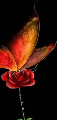 This phone live wallpaper features a stunning red rose flower with a delicate butterfly resting on it