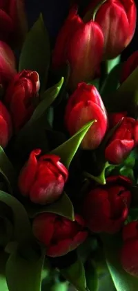 Decorate your phone&#39;s screen with this stunning and visually appealing live wallpaper featuring a vase filled with red tulips