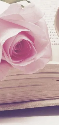 This live wallpaper showcases a stunning pink rose delicately placed on top of an open book