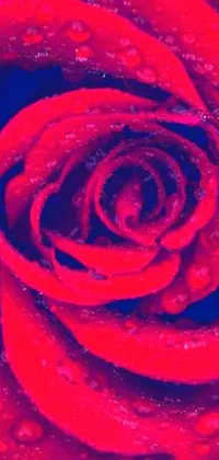 This phone live wallpaper displays a digital rendering of a red rose with water droplets on it