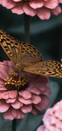 This mobile live wallpaper showcases a captivating design of a butterfly resting on a pink flower in subtle brown hues