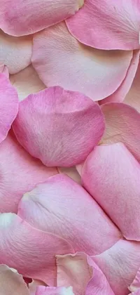 This lovely phone live wallpaper showcases a close-up of soft pink rose petals arranged beautifully