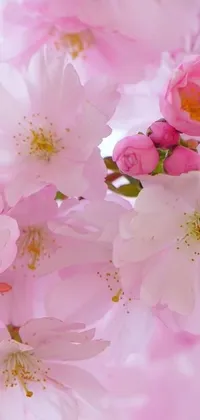 This stunning phone live wallpaper showcases a bouquet of pink flowers arranged against a green backdrop