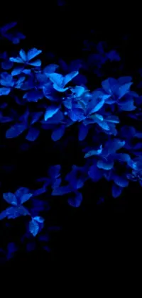 This digital wallpaper showcases a beautiful plant with bright blue leaves in an artistic and bioluminescent style