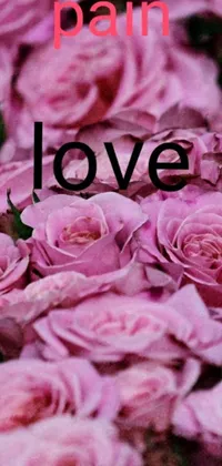 This phone live wallpaper features a beautiful image of pink roses with the text "pain love" in cursive script