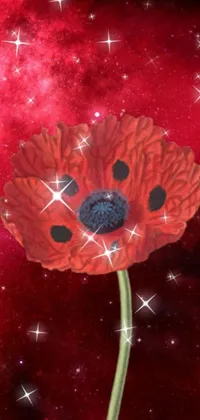This phone live wallpaper features a vibrant red flower in sharp digital art