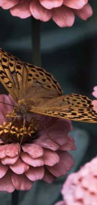 Introducing a visually stunning live wallpaper for mobile devices featuring a butterfly perched atop a pink flower