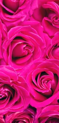 This phone live wallpaper features a digital rendering of pink roses in vibrant fuchsia skin with gigantic tight pink ringlets
