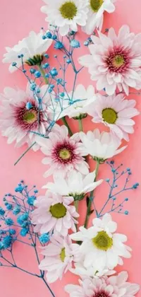 Looking for a phone wallpaper that exudes beauty and aesthetic charm? This design features an arrangement of white and blue flowers against a bright pink backdrop that pops with vibrancy, while the intricate details on the blooms and leaves breathe life and delicacy into the design