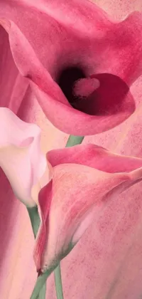 Introducing a stunning live phone wallpaper featuring two gorgeous pink flowers