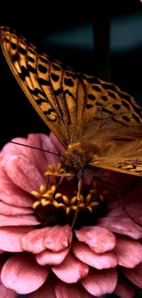 This phone live wallpaper features a stunning macro photograph of a butterfly perched on a pink flower, set against a peaceful pink background