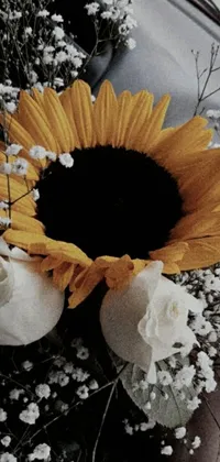 This live phone wallpaper is a beautiful black and white photograph that showcases a sunflower and baby's breath