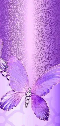 Adorn your phone's screen with a stunning live wallpaper featuring two purple butterflies against a vivid purple background