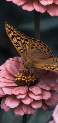 This mobile live wallpaper features a charming butterfly perched atop a pink flower with renaissance-inspired design elements