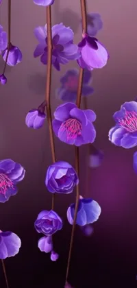 This live wallpaper features a stunning arrangement of shiny purple lotus flowers swaying gracefully in the breeze