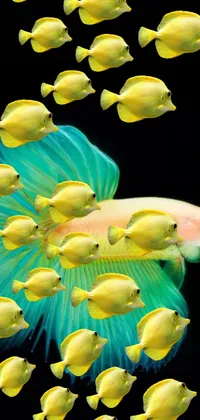 This phone live wallpaper displays a beautiful art piece featuring a school of vibrant yellow fish swimming against a dark black background