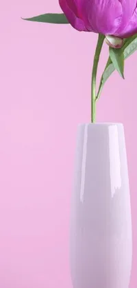 This phone live wallpaper features a postminimalism design, with a white vase holding a purple willow flower set against a pink background