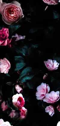 Adorn your phone with this stunning live wallpaper featuring a beautiful assortment of pink flowers and green leaves set against an elegant black background