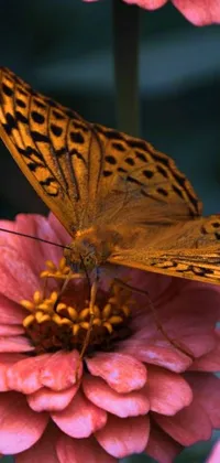 Decorate your phone with a captivating live wallpaper featuring a butterfly sitting gracefully on top of a pink flower