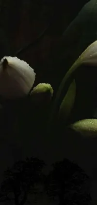 This phone live wallpaper features a captivating image of a glowing flower amidst dark rain