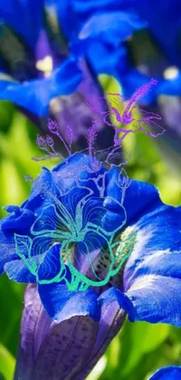 This mystical phone live wallpaper depicts a flower close-up with a blue flower backdrop