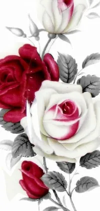 Discover a stunning live wallpaper for your phone! This exquisite painting masterpiece features a delightful composition of red and white roses on a white background, intricately highlighting the beauty of each petal and leaf