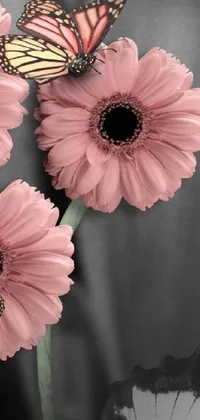 This live phone wallpaper features three realistic pink flowers adorned with a fluttering butterfly on top of them