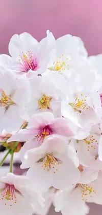 This phone live wallpaper is a close-up shot of white flowers, portraying a beautiful and serene sight