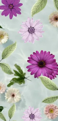 This live wallpaper features a group of flowers floating on water in a colorized photograph inspired by nature