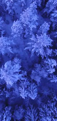 Looking for a serene and peaceful live wallpaper for your phone? Look no further than this bird's eye view of a snowy forest, captured in cool purple and slate blue lighting to give it a frosty, ice-cold feel